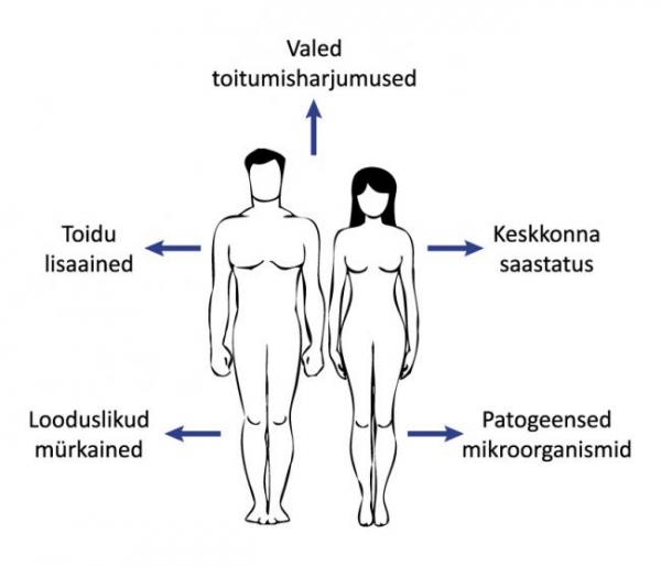 Toiduhügieeni e- koolitus 1.osa (tervist ohustavad tegurid)